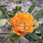 Casa Tijoco ゲストハウス 3*